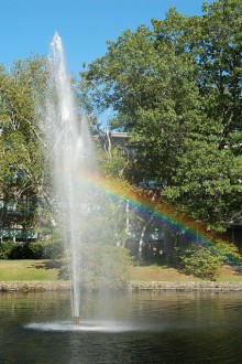 Pond Rainbow