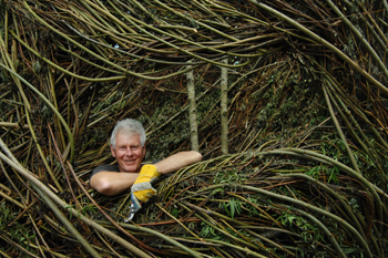 Patrick Dougherty