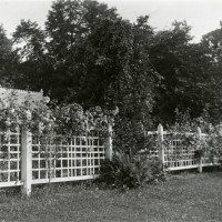The Wheaton garden, circa 1910.