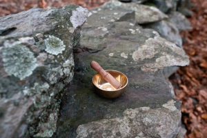 Mediation bowl on rock