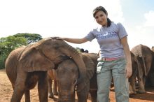 Jackson has fun with baby elephants in Kenya, below. 