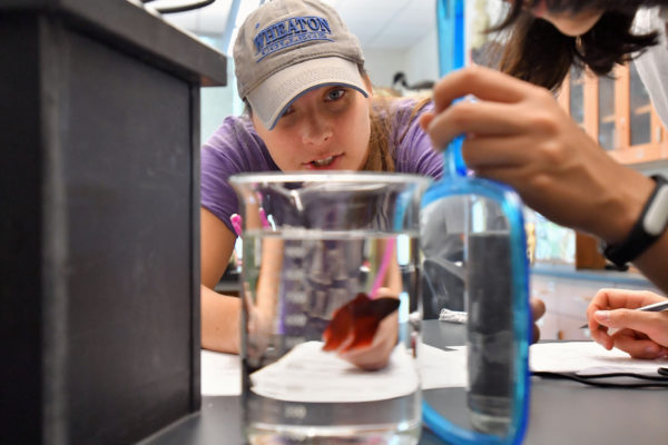 Kathleen Morgan, Wheaton College Associate Professor of Psychology, teaching her Comparative Animal Behavior class.