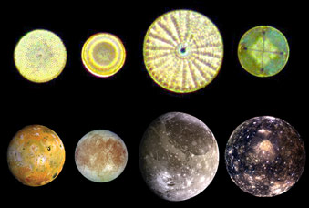Diatoms and moons