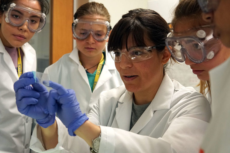 Science summer camp Wheaton College Massachusetts