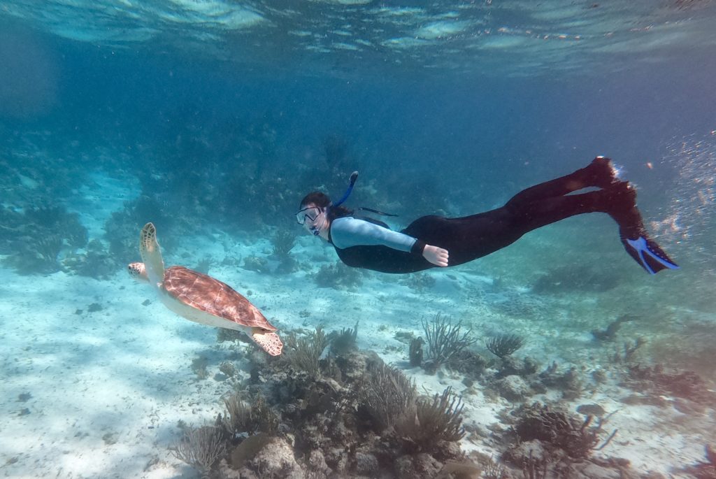 A photo of a woman swimming underwater in snorkel gear alongside a turtle