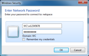 Screenshot of entering network password on PC