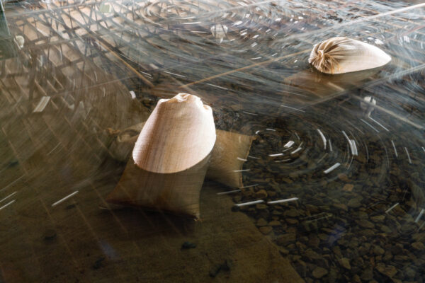 Photo by Assistant Professor of Visual Art Leah Dyjak