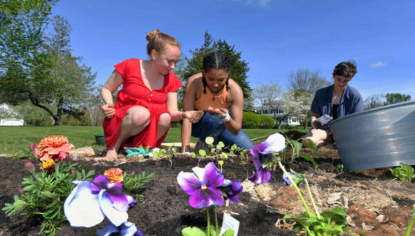 Garden for Incarcerated Mothers