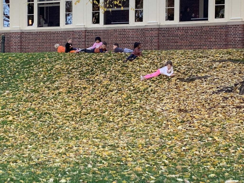 Children playing on a hill covered with leaves