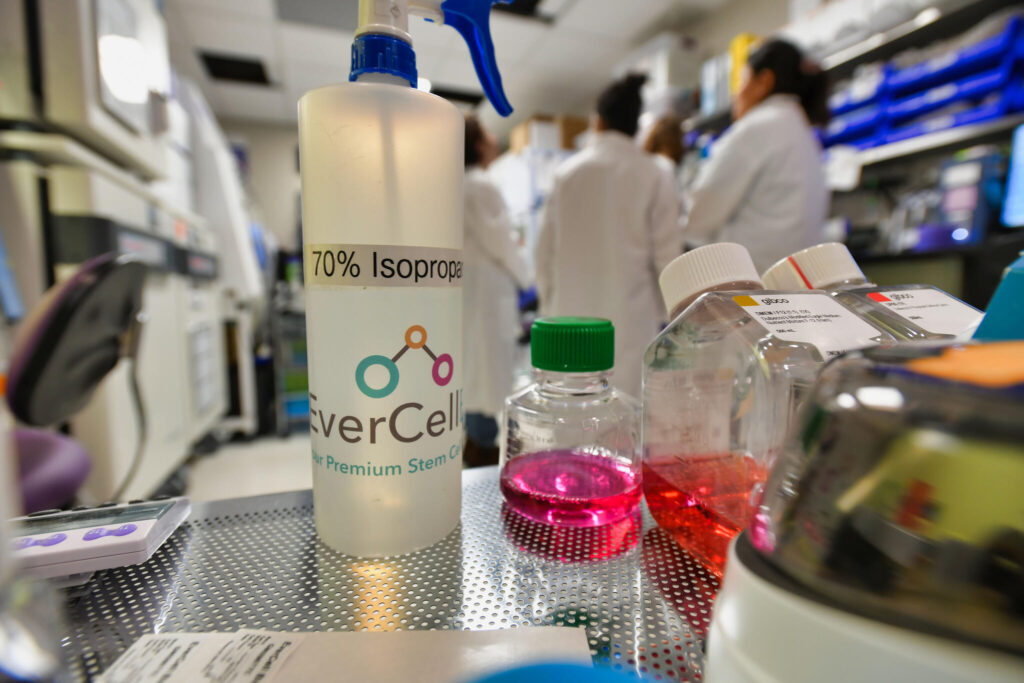 Research experience at EverCellBio