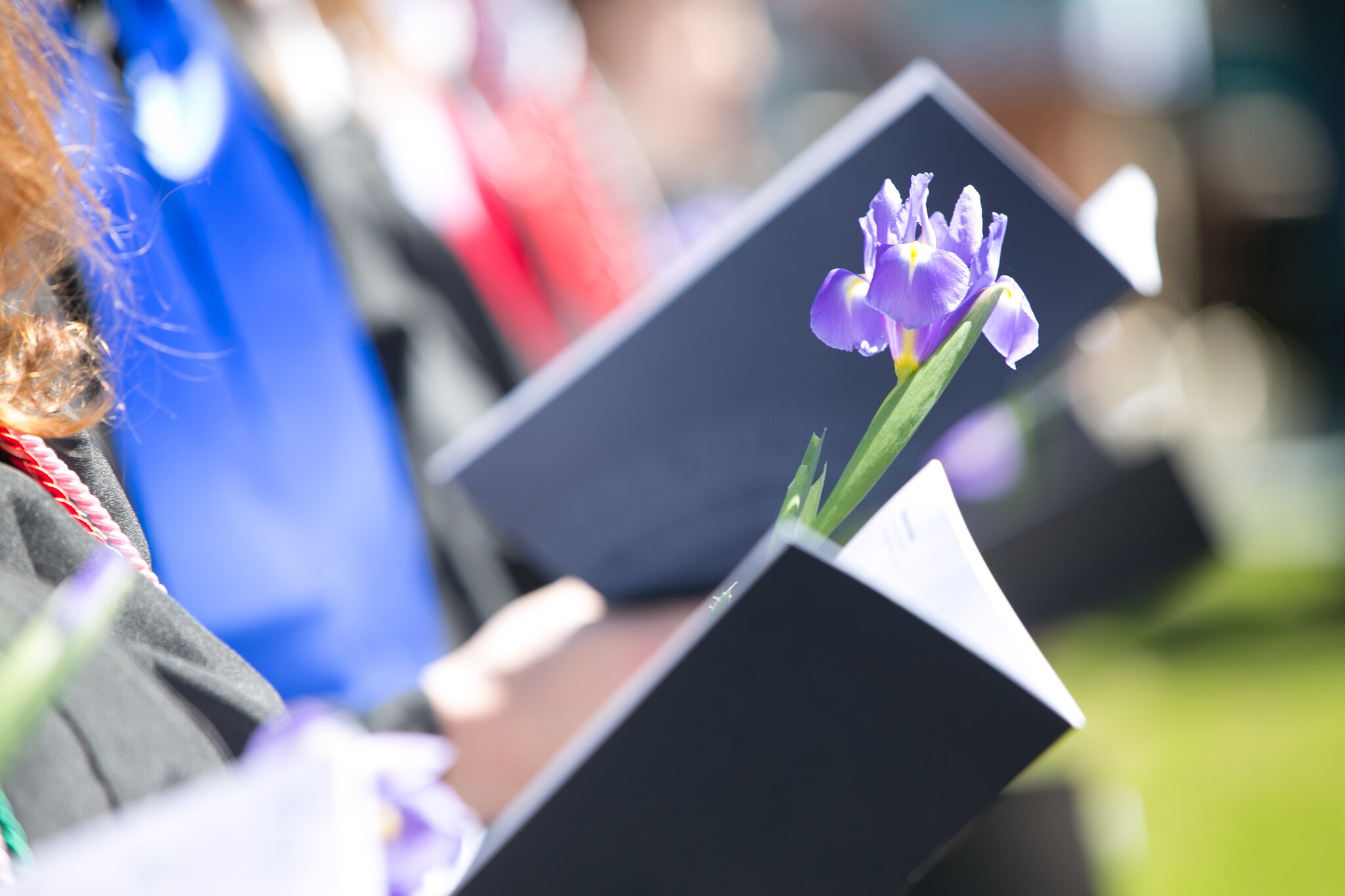 Commencement Wheaton College Massachusetts