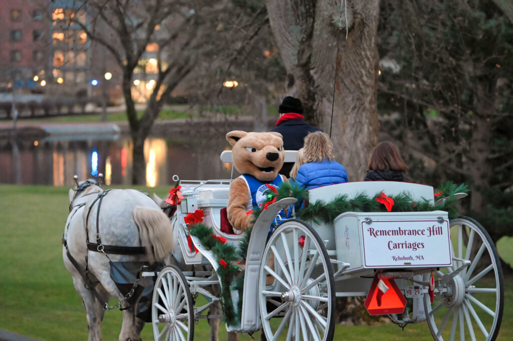 Roary in carriage at Winterfest 2023