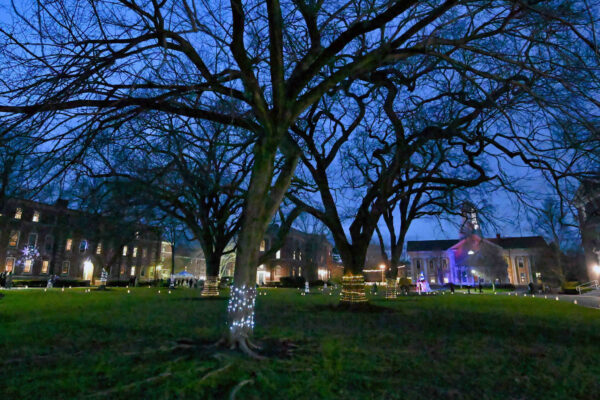 Lights at dusk at Winterfest 2023