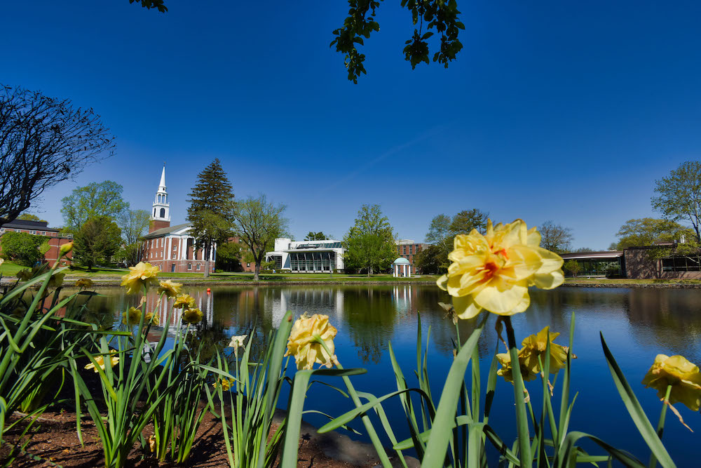 Campus buildings and scenery, Spring 2020. Peacock Pond.