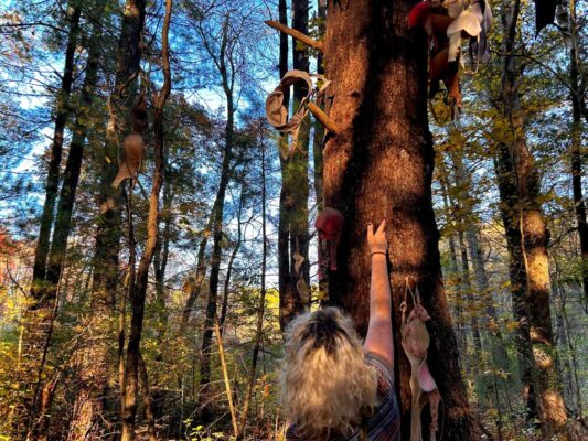 A person tossing a bra up at a tree with more bras hung on it.