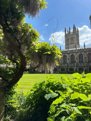 A blossoming wisteria tree and a lush green courtyard frame a medieval tower.