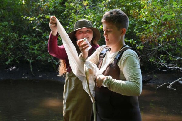 Two individuals wearing hip waders and standing knee-deep in a river in the woods examine a butterfly in a container caught with a net.