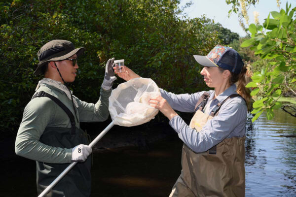 Two individuals wearing hip waders and hats stand knee-deep in a river. One hands a small container with a butterfly inside to the other individual.