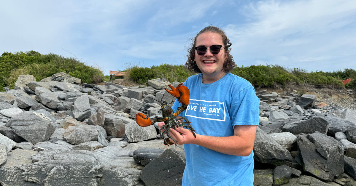 AJ Amaio holds a lobster on a rocky beach.