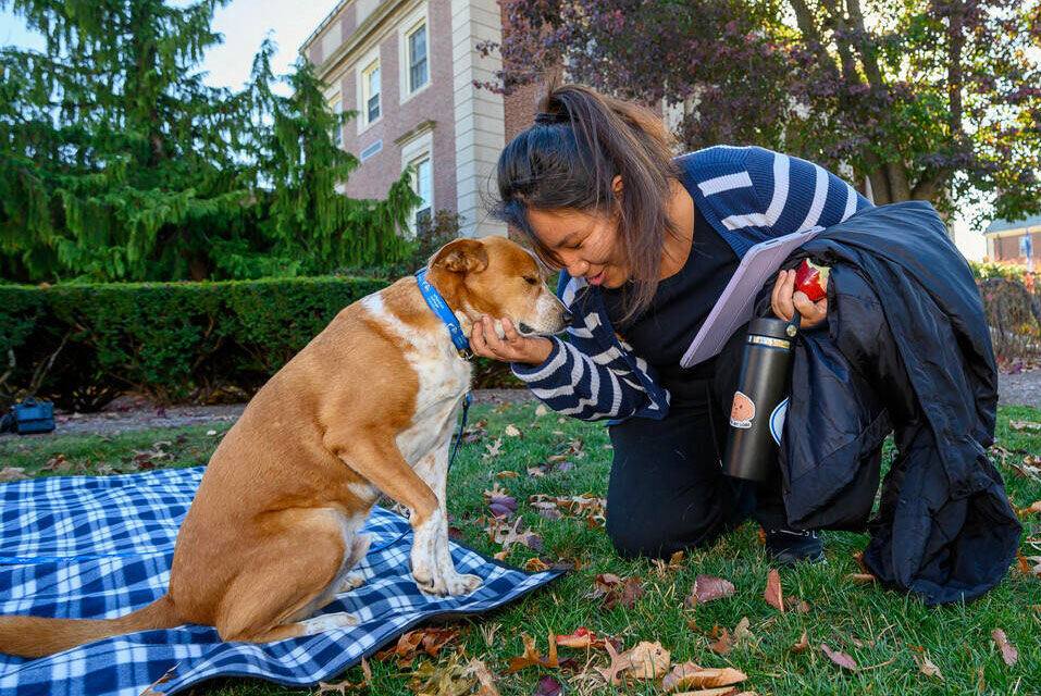 An kneeling individual gets face-to-face with a friendly dog.