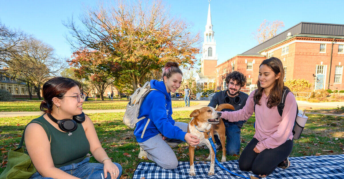 Four individuals interact with an Australian Cattle Dog mix.