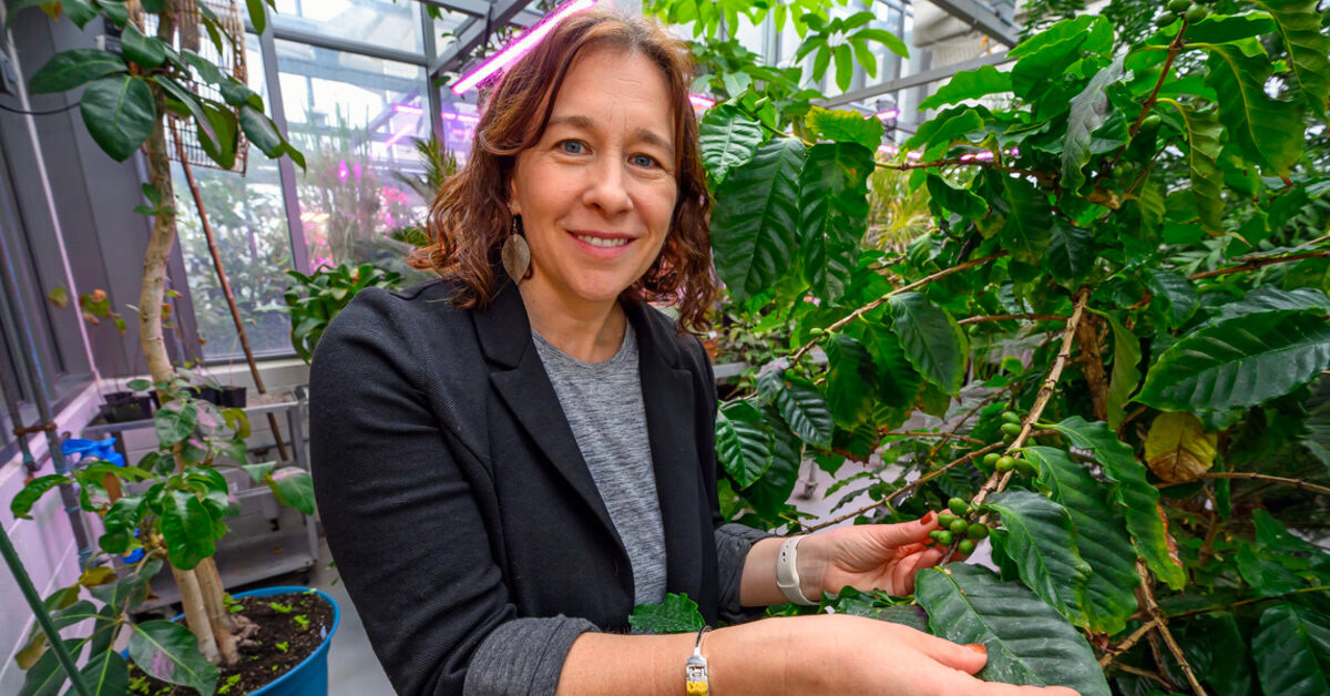 Anissa Poleatewich in a greenhouse.