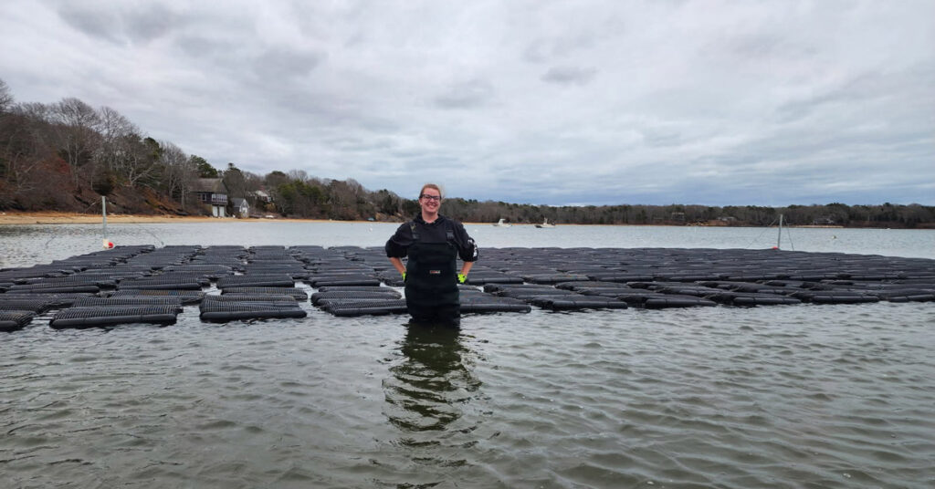 An individual wearing black aquatic gear stands knee deep in front of a collection of black cages that comprise an oyster farm.