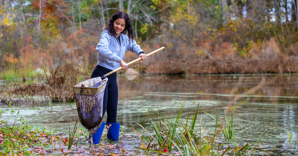 A young woman with dark curly hair wearing a gray sweatshirt, black pants and blue rubber boots stands in a shallow area of a swampy pond, holding a long pole with a net containing dark contents from the floor of the pond.