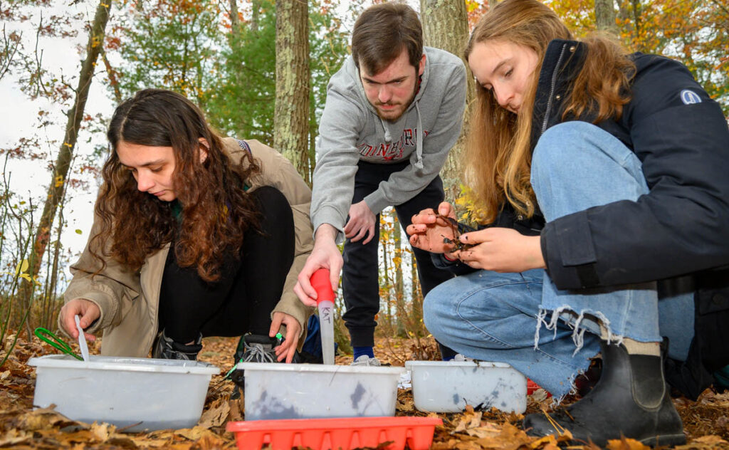 Two females and a male, each wearing a coat or sweatshirt, use plastic spoons to sift through materials in white plastic trays at a location in the woods.