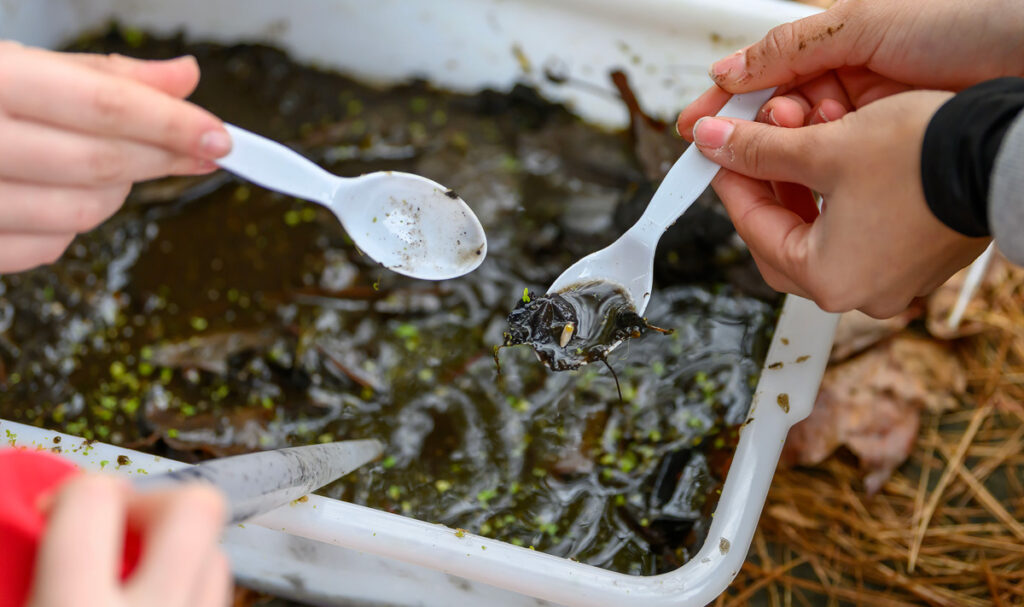 Using plastic spoons, hands scoop brown wet material from a white container.